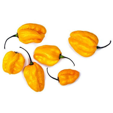 Lemon Habanero Seeds - The Pepper Pantry (Formerly Marie Sharp's)